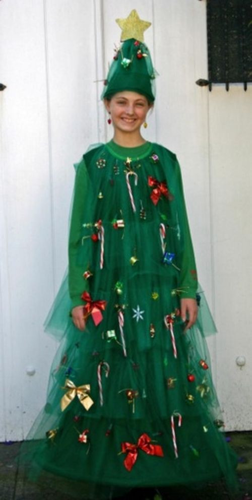 DIY Christmas Tree Costume
 Best 25 Christmas costumes ideas on Pinterest