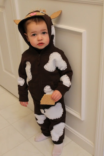 DIY Cow Costume
 How now brown cow