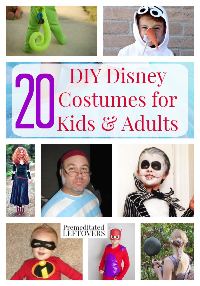 DIY Disney Character Costume
 20 DIY Disney Costumes for Kids and Adults