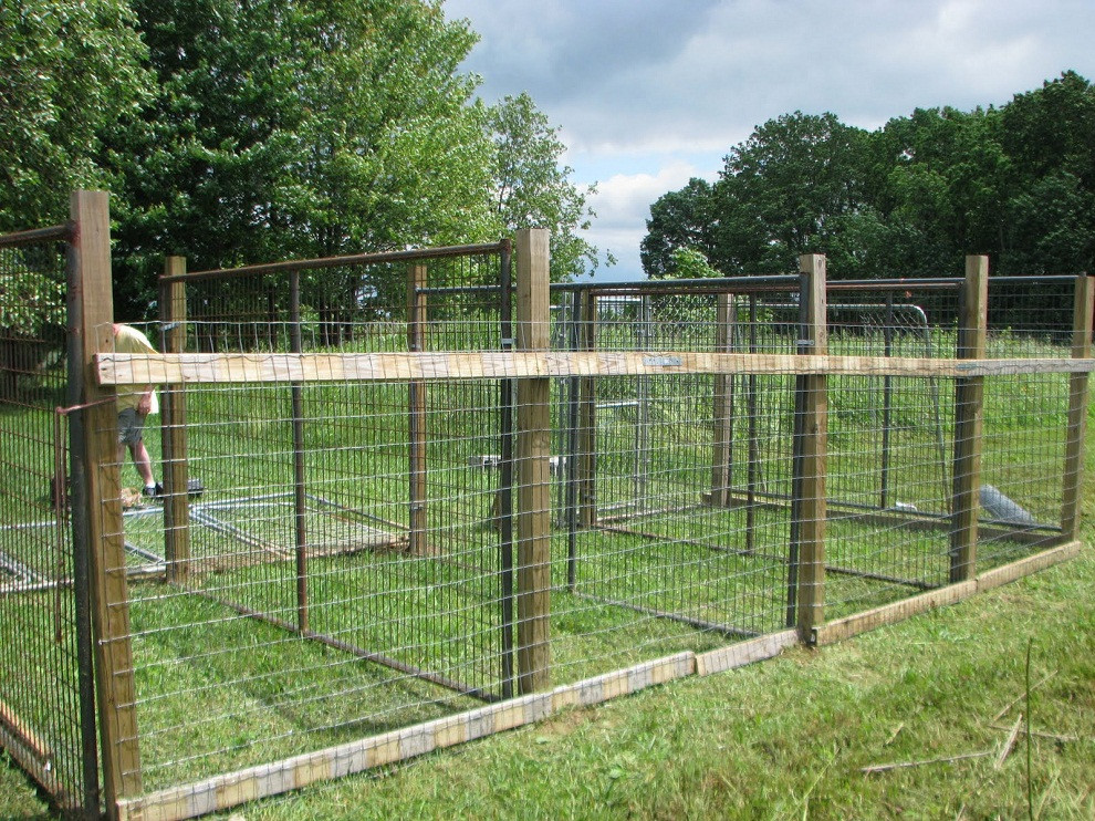 DIY Dog Fence
 Black Kennel Fencing Panels Diy