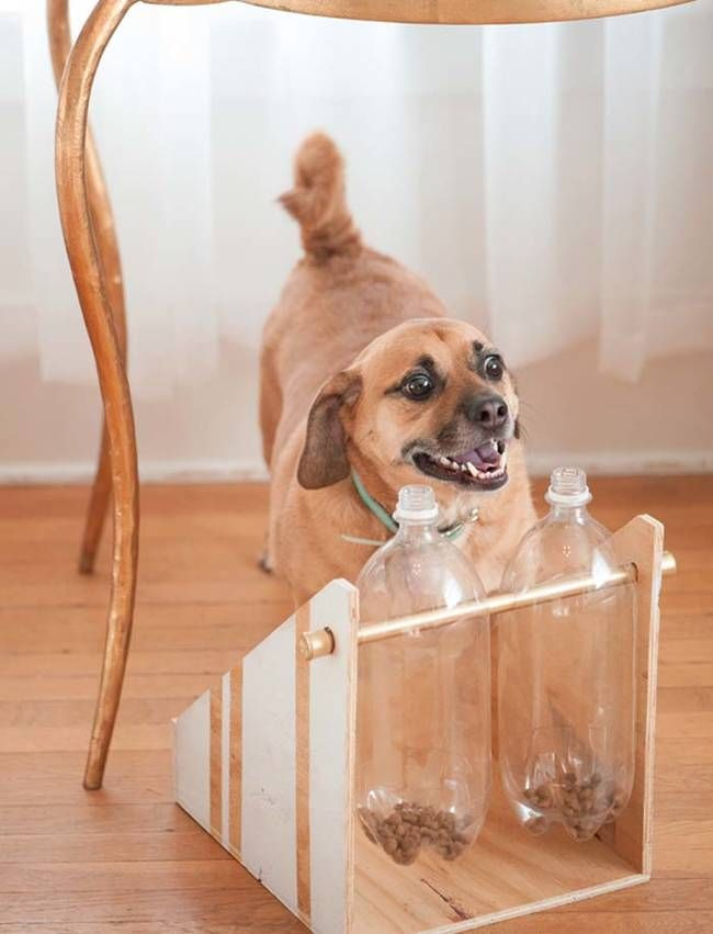 DIY Dog Training
 25 best ideas about Dog treat dispenser on Pinterest