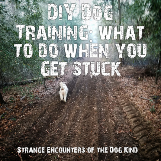 DIY Dog Training
 DIY Dog Training What to do when you stuck