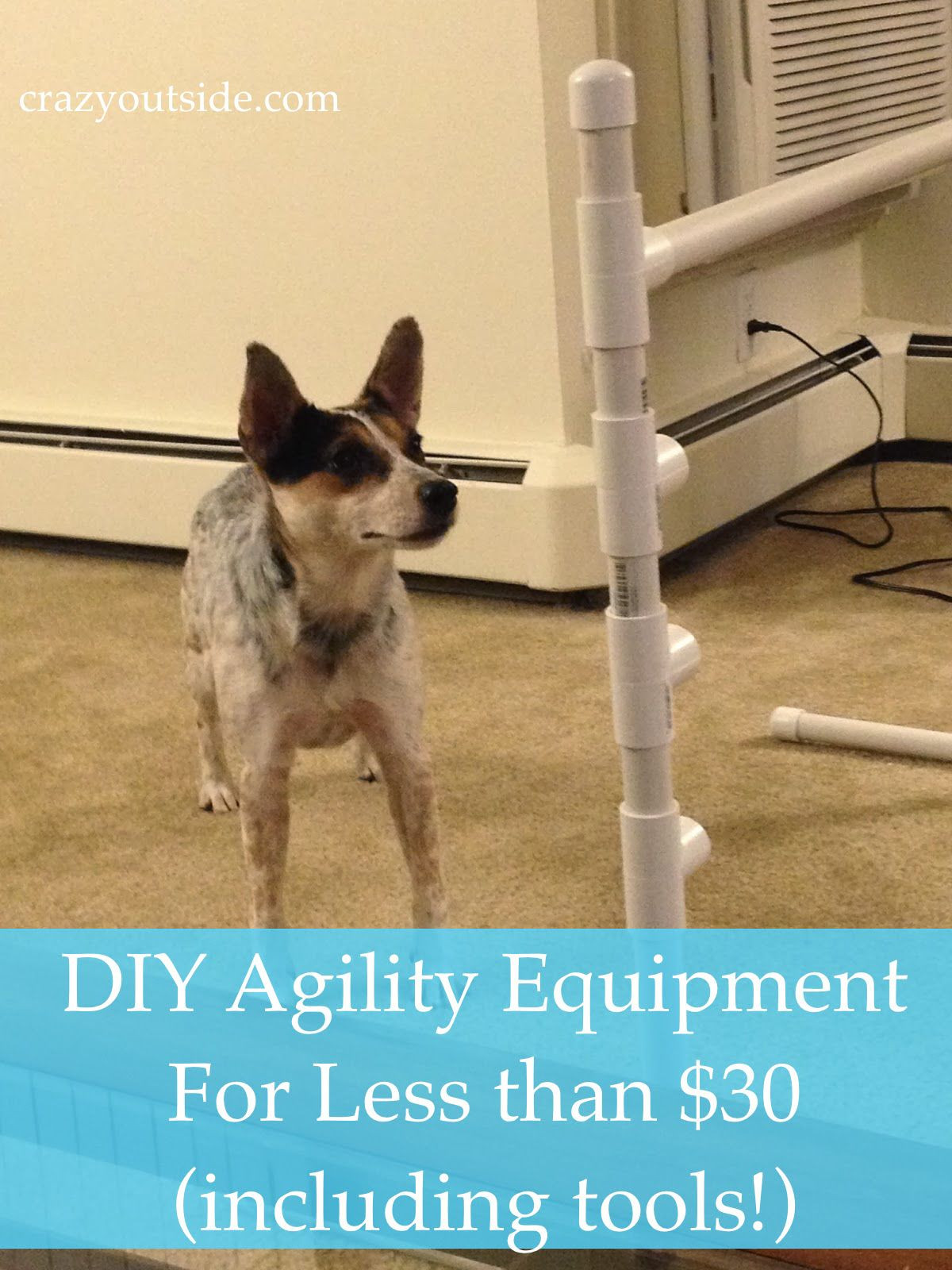DIY Dog Training
 How to Create Your Own Agility Equipment
