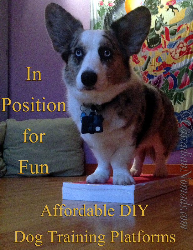DIY Dog Training
 In Position For Fun Affordable DIY Dog Training Platforms