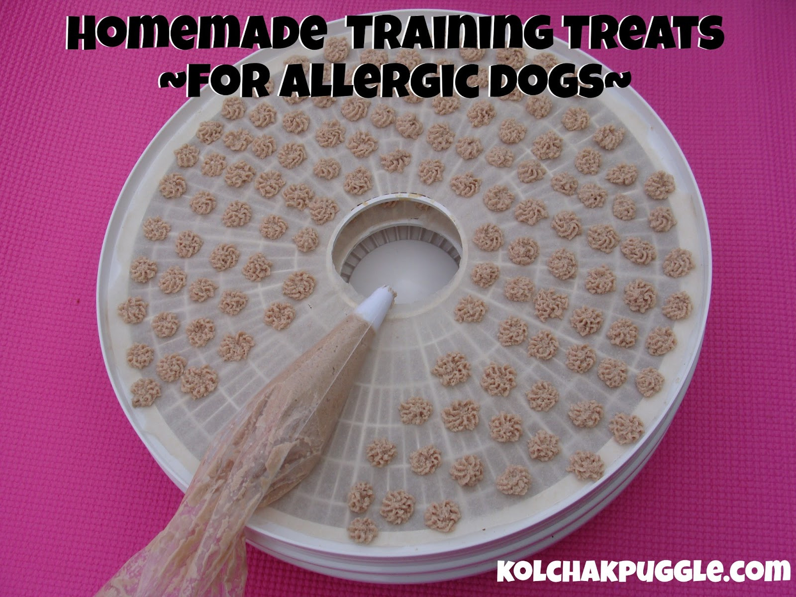 DIY Dog Training
 Homemade Training Treats for Dogs with Allergies Kol s Notes