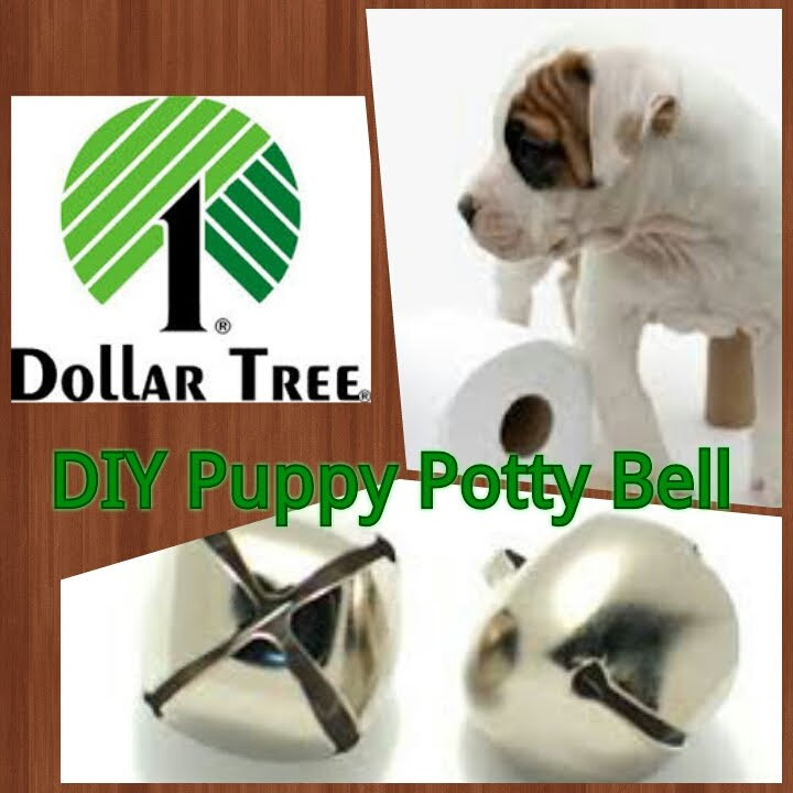 DIY Dog Training
 Dollar Tree DIY Puppy Potty Bell Potty Training Tool