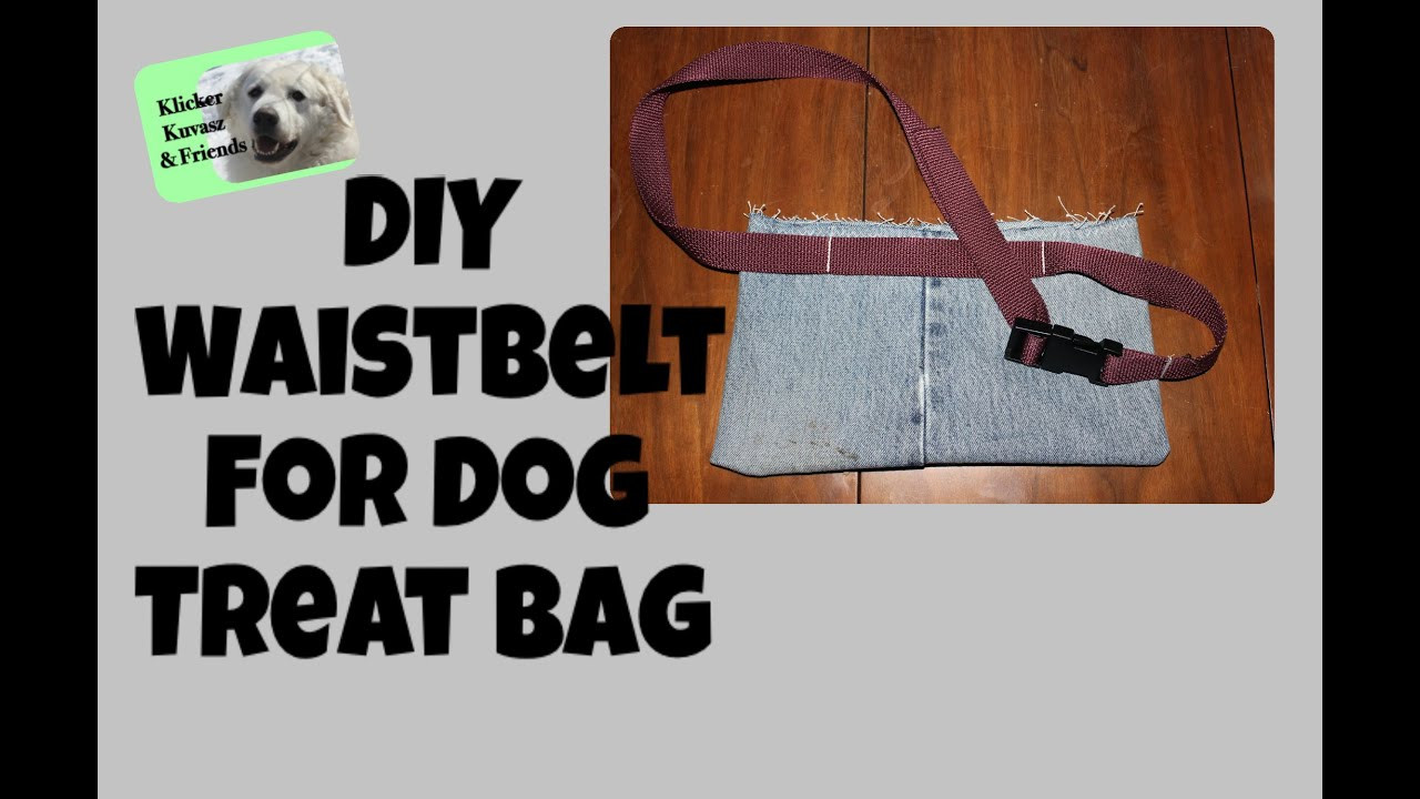 DIY Dog Training
 DIY Waist Belt For Dog Training Treat Bag