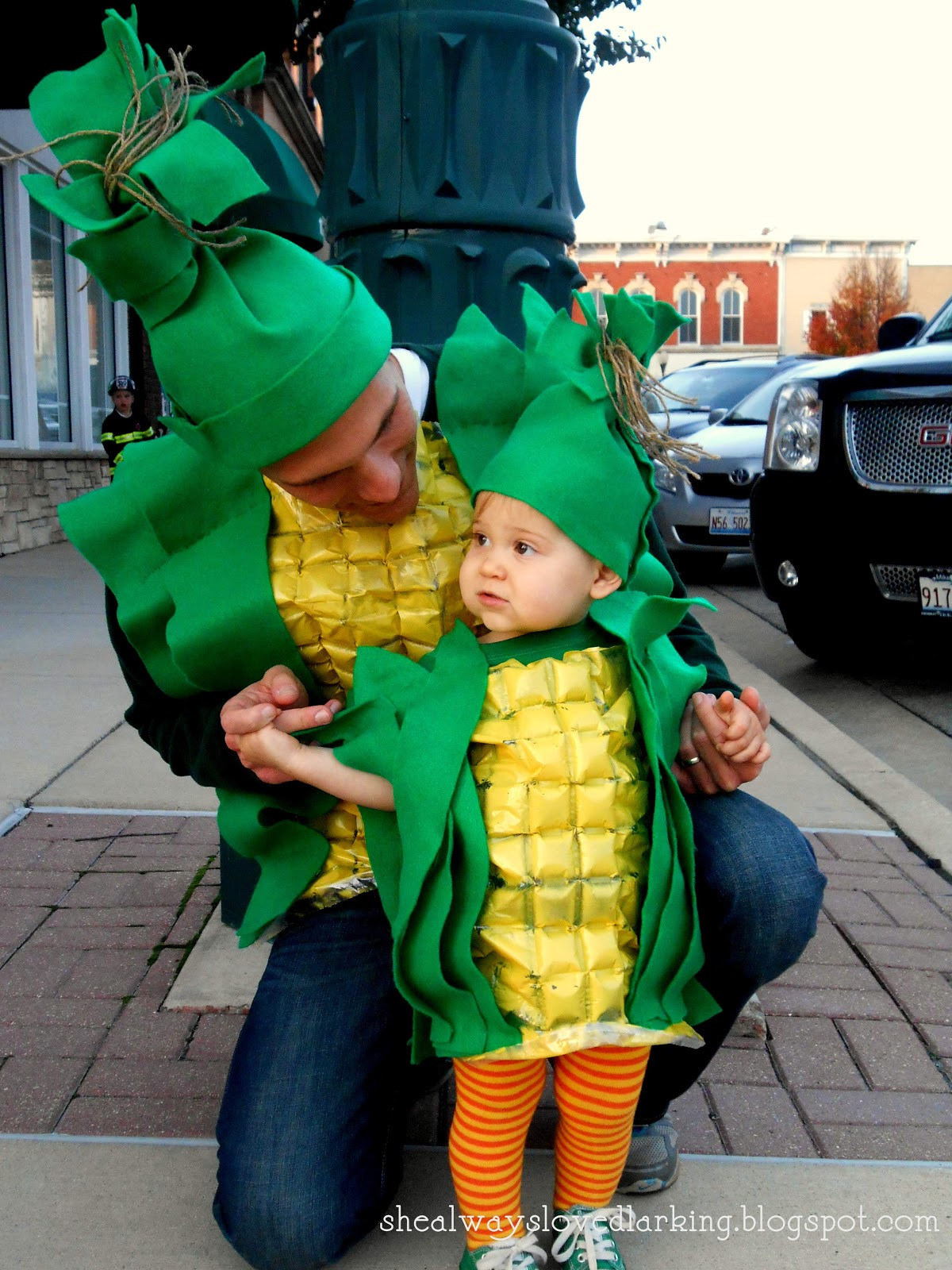 DIY Family Costumes
 she always loved larking a corny family