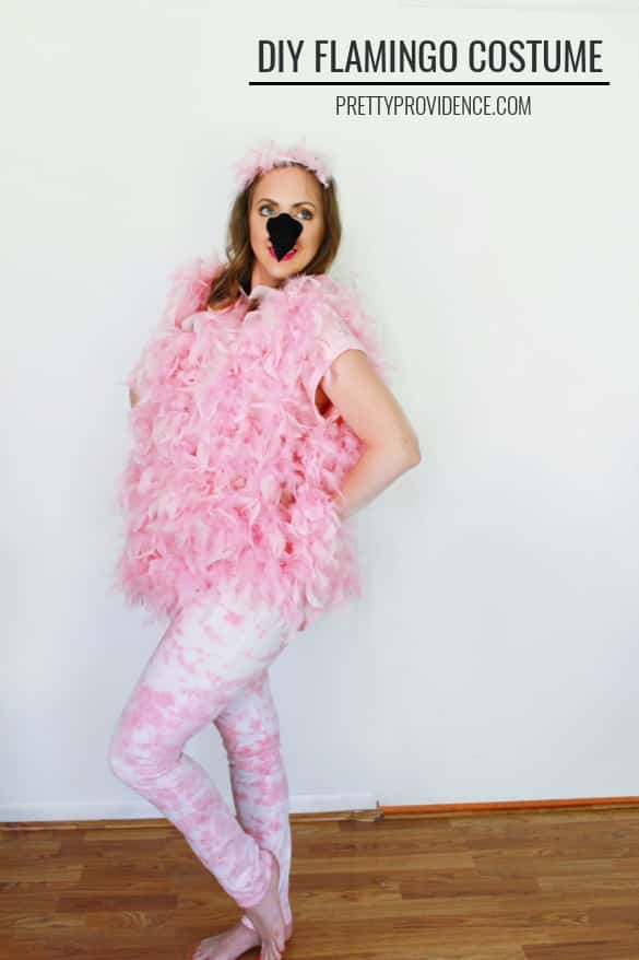 DIY Flamingo Costumes
 DIY Flamingo Costume