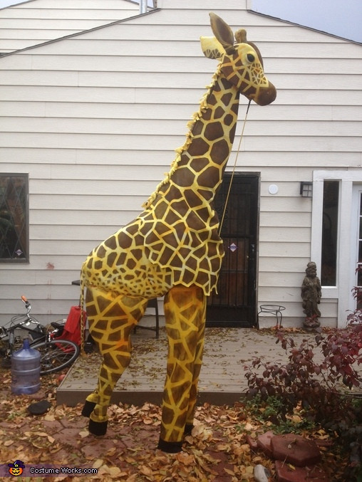 DIY Giraffe Costumes
 Giraffe Halloween Costume