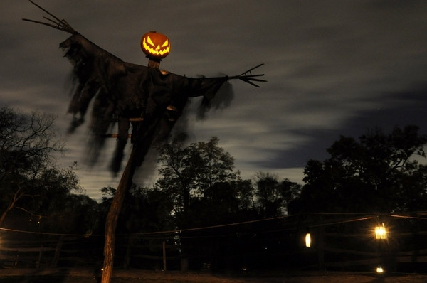Diy Halloween Outdoor Decorations
 33 Best Scary Halloween Decorations Ideas &