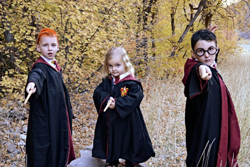 DIY Harry Potter Costumes
 Happy Halloween Harry Potter Costumes