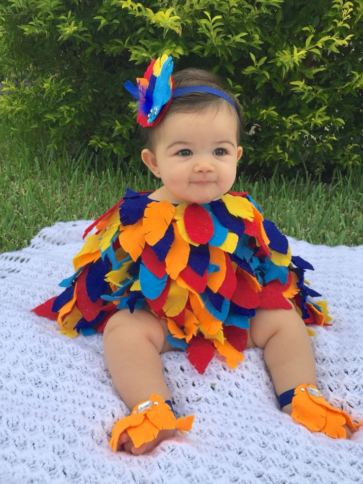 DIY Infant Costume
 Best 25 Parrot costume ideas on Pinterest