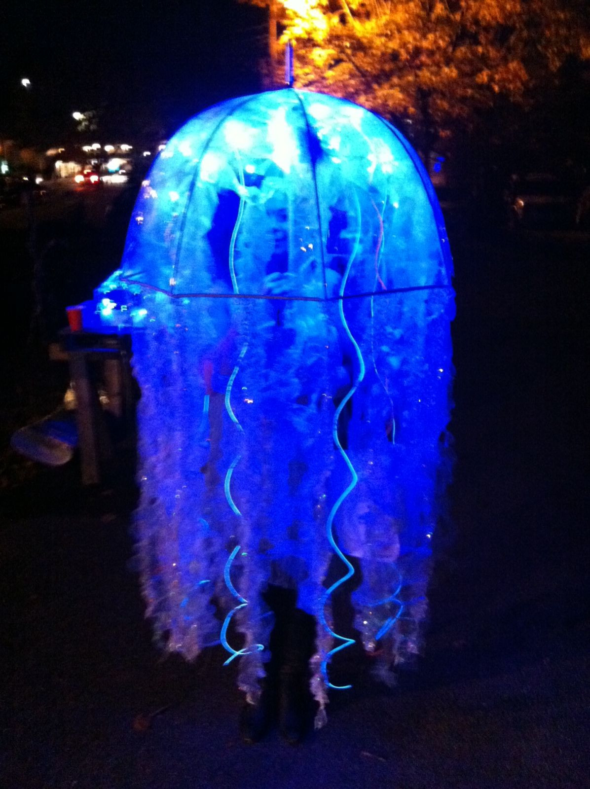 DIY Jellyfish Costume
 My Jellyfish Costume Halloween Ideas