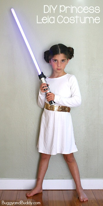 DIY Leia Costume
 DIY Princess Leia Costume BigDIYIdeas