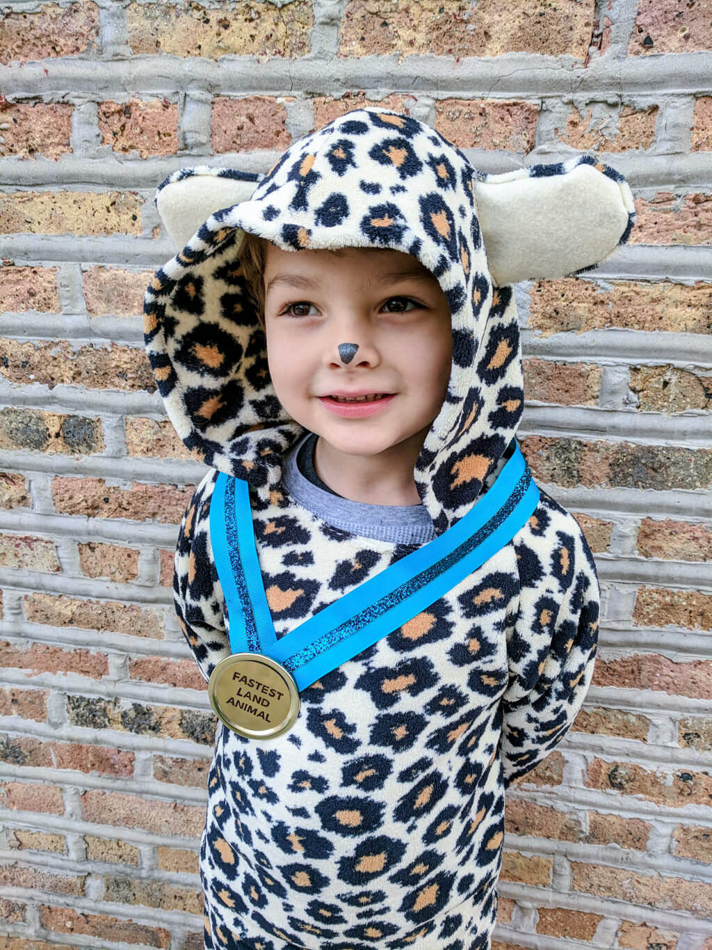 DIY Leopard Costume
 DIY Kids Cheetah Halloween Costume for Boys Merriment Design