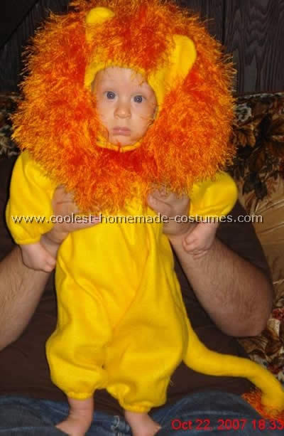 DIY Lion Costume For Adults
 20 DIY Homemade Lion Costume Ideas