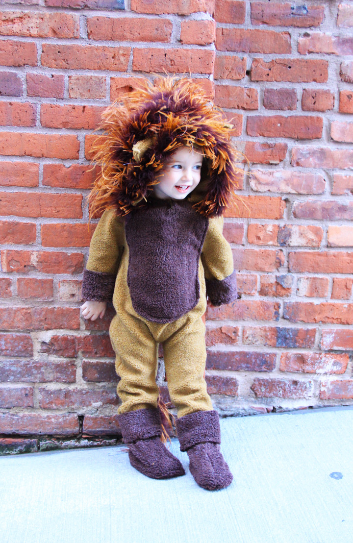 DIY Lion Costume For Adults
 DIY Custom Halloween Buckets for Trick or Treating with