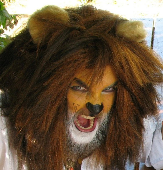 DIY Lion Costume For Adults
 Lion Costume Mane and Tail