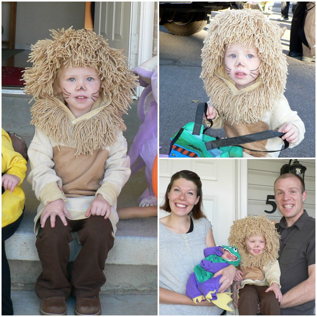 DIY Lion Costume For Adults
 Homemade Halloween Costumes for Kids and Families