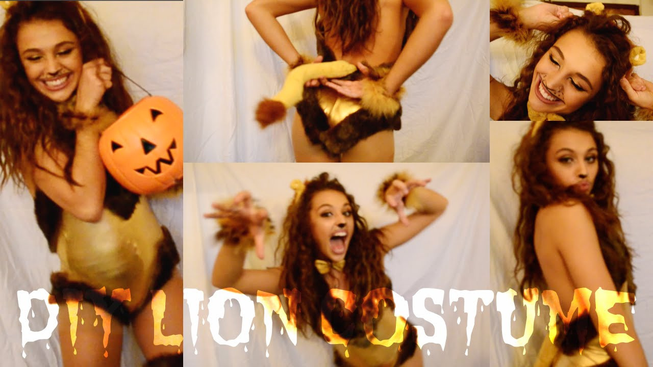 DIY Lion Costume For Adults
 DIY Lion Costume Makeup Hair NO SEW