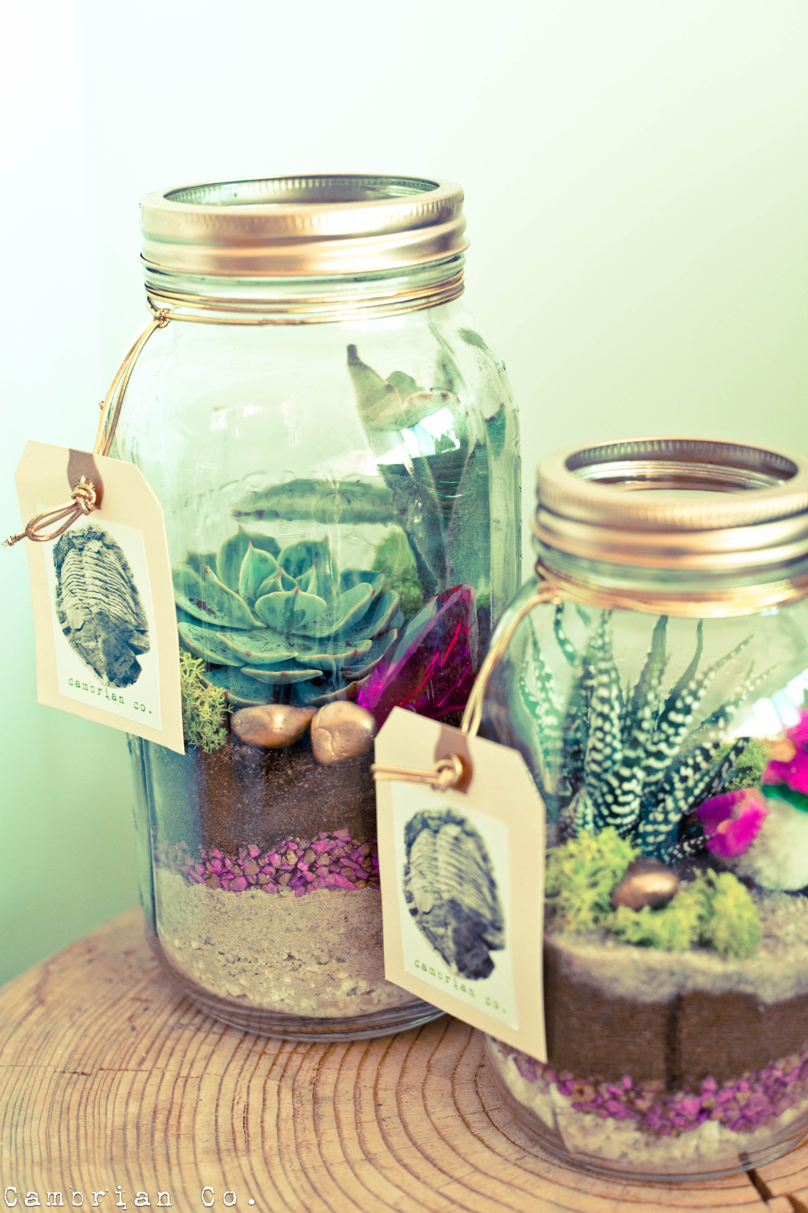 DIY Mason Jar Christmas Gifts
 Mason Jar Christmas Gift Ideas The Idea Room