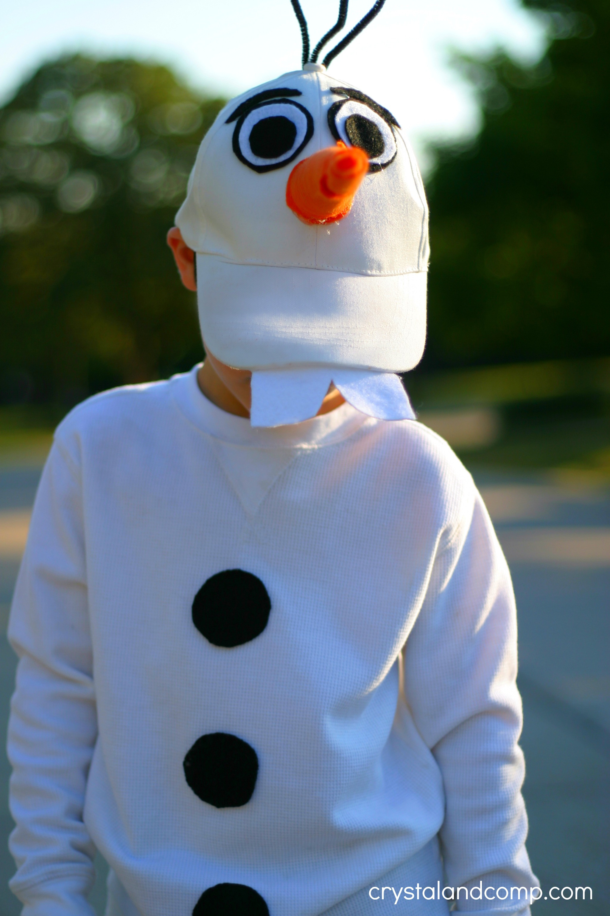 DIY Olaf Costume
 Olaf Costume