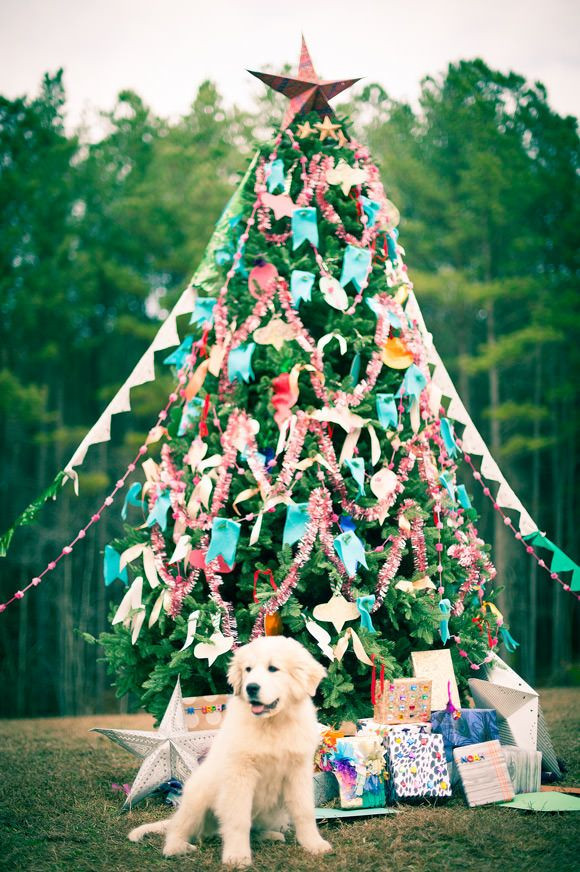 DIY Outdoor Christmas Trees
 25 Amazing Outdoor Christmas Tree Decorations Ideas MagMent