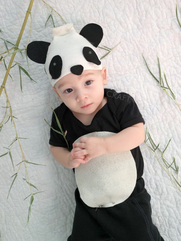 DIY Panda Costume
 Panda bear baby costume cute baby costumes C R A F T