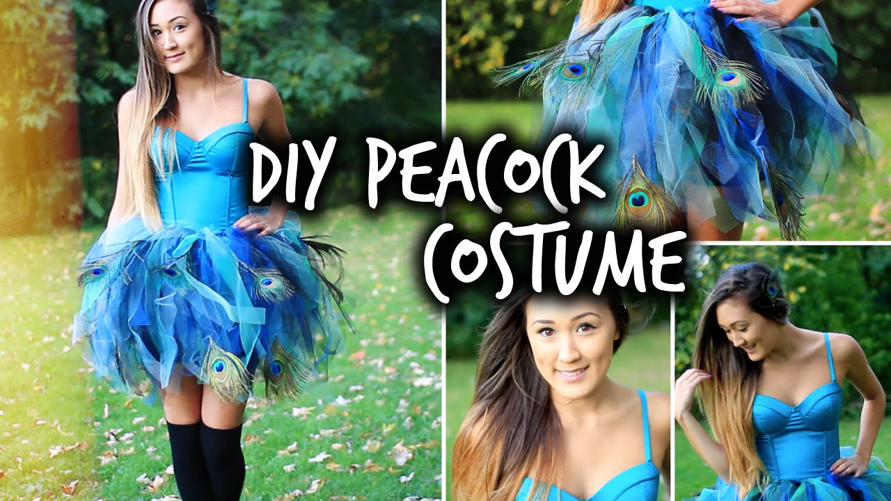 DIY Peacock Costume
 Easy DIY Peacock Halloween Costume