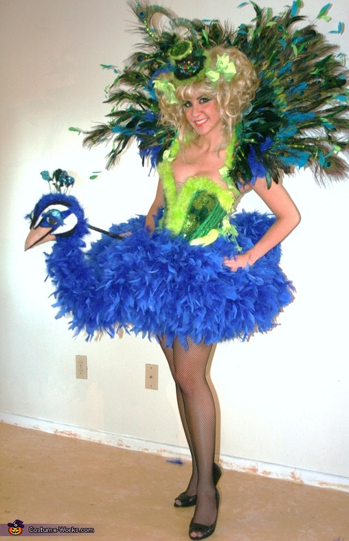 DIY Peacock Costume
 Birds of a Feather Peacock and Flamingo Costumes