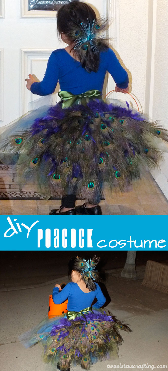 DIY Peacock Costume
 DIY Peacock Costume Two Sisters