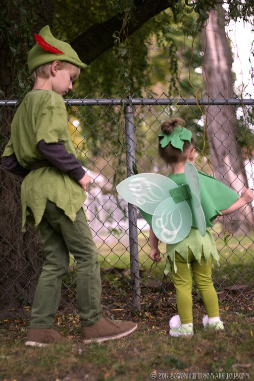 DIY Peter Pan Costume
 25 Darling DIY Disney Costumes