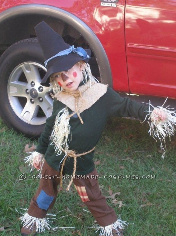 DIY Scarecrow Costume Wizard Of Oz
 54 best Wizard of Oz Makeup & Ideas images on Pinterest