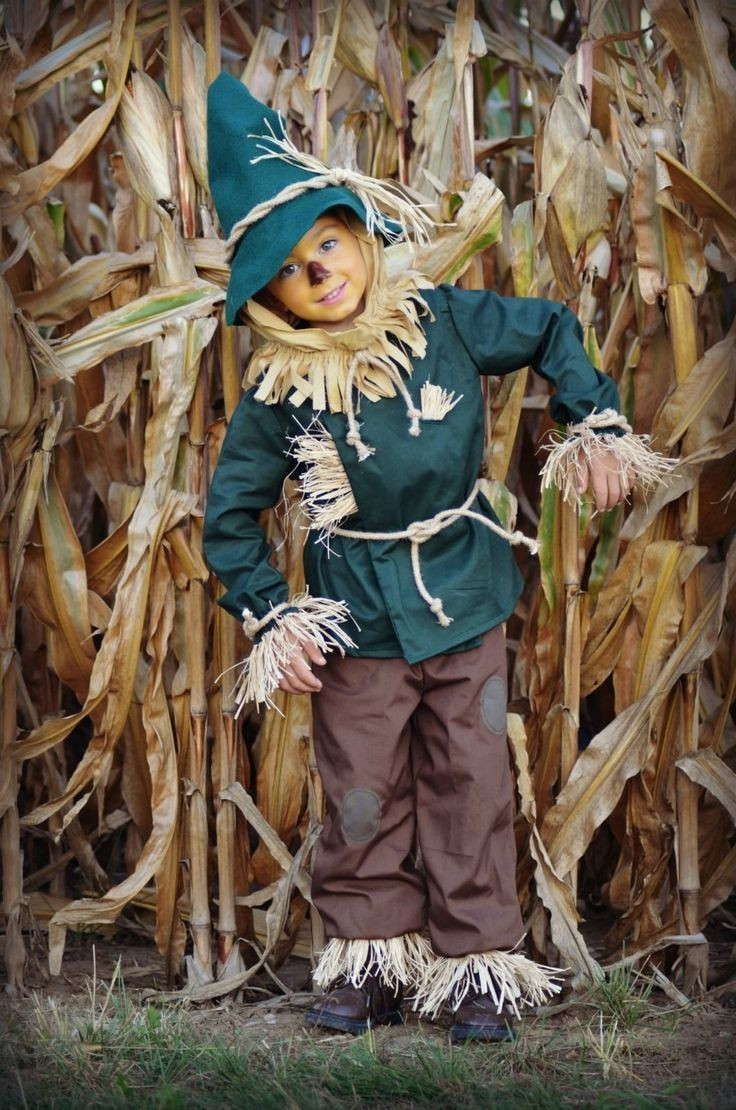 DIY Scarecrow Costume Wizard Of Oz
 171 best images about costumes on Pinterest