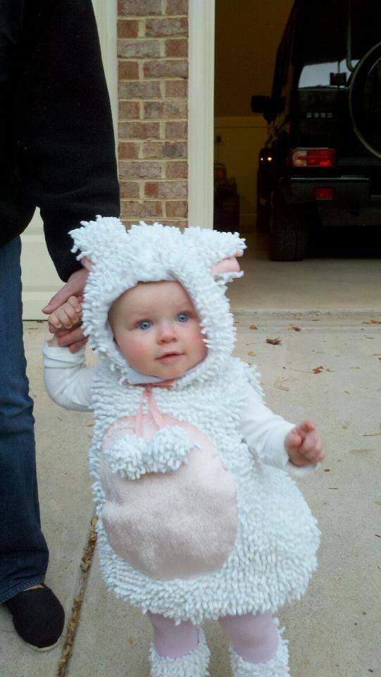 DIY Sheep Costume
 1000 ideas about Sheep Costumes on Pinterest