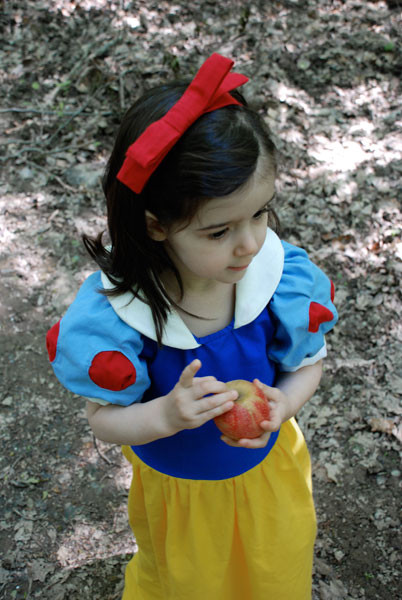 DIY Snow White Costume
 DIY Snow White Costume s and for