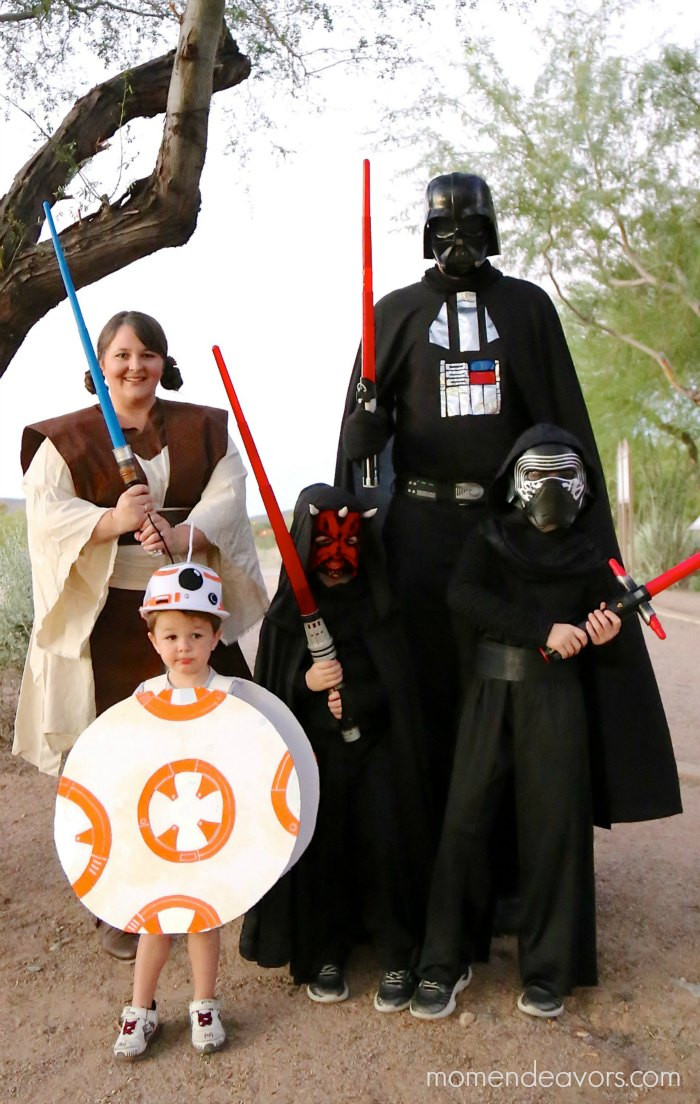 DIY Star Wars Costumes
 DIY Family Halloween Costume Ideas The Idea Room
