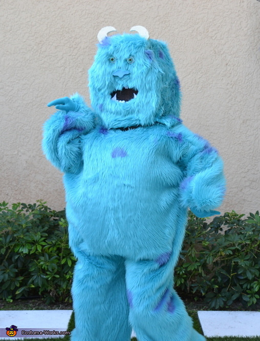 DIY Sully Costumes
 Homemade Sully Costume 2 6