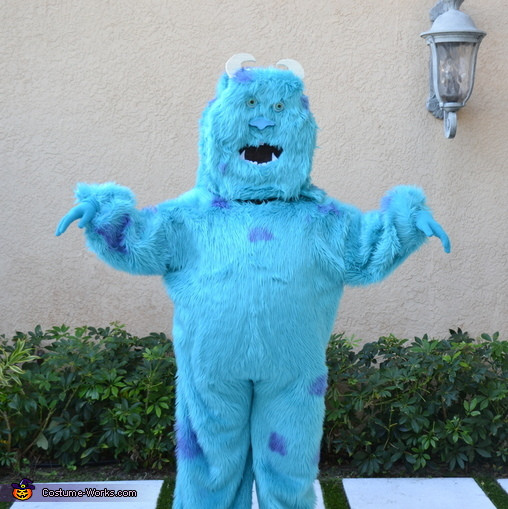 DIY Sully Costumes
 Homemade Sully Costume