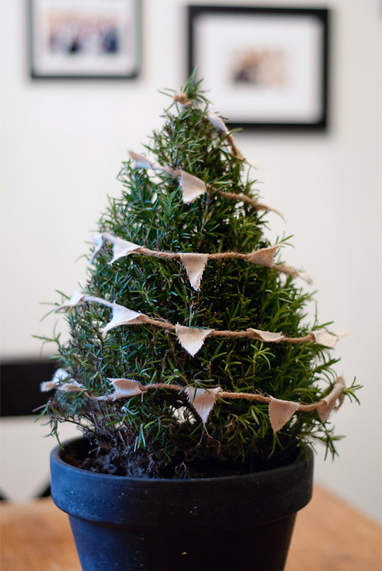 DIY Tabletop Christmas Tree
 3 real mini Christmas trees diys
