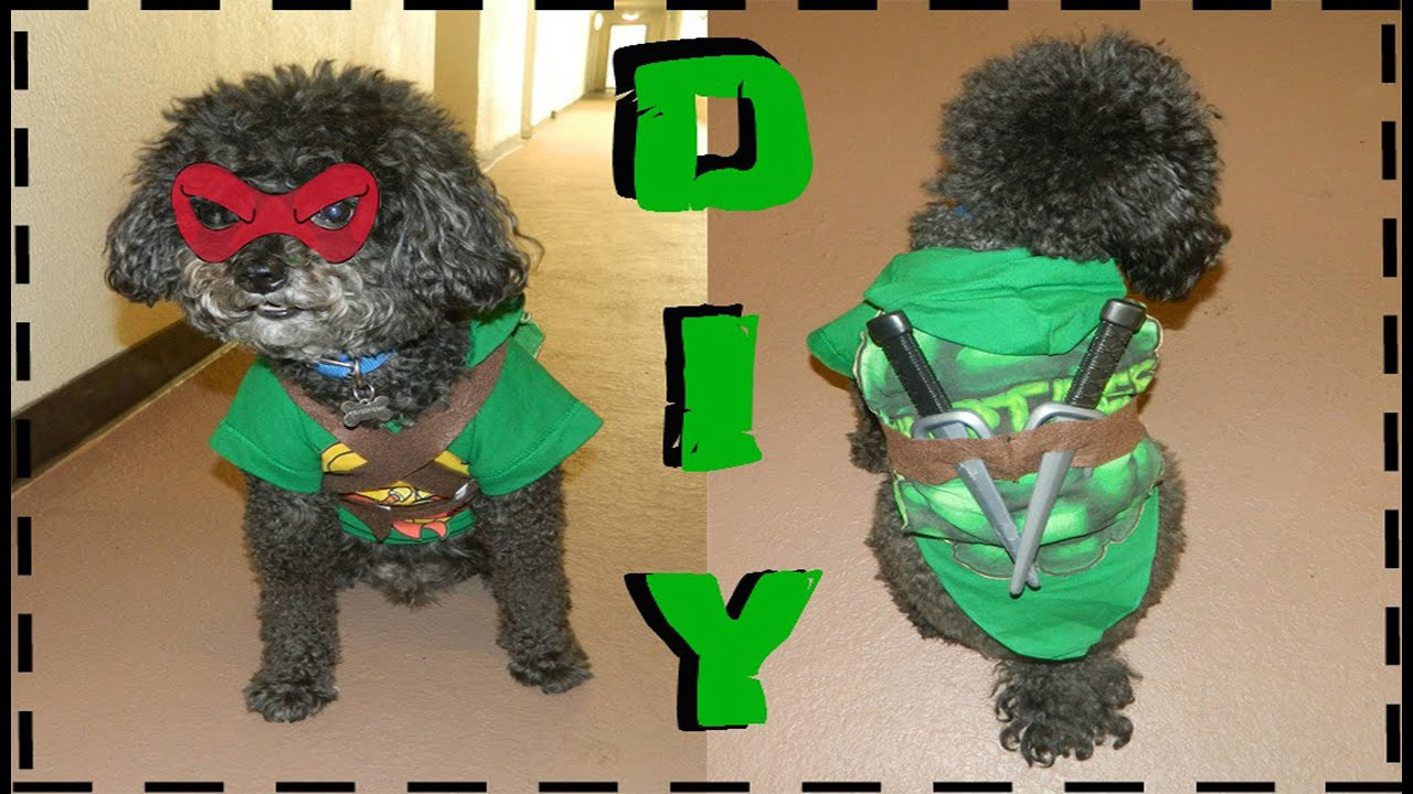 DIY Tmnt Costume
 DIY Teenage Mutant Ninja Turtle Dog Costume No Sew