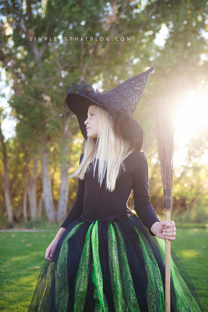 DIY Witch Costume
 DIY Glinda and Wicked Witch of the West Halloween Costumes