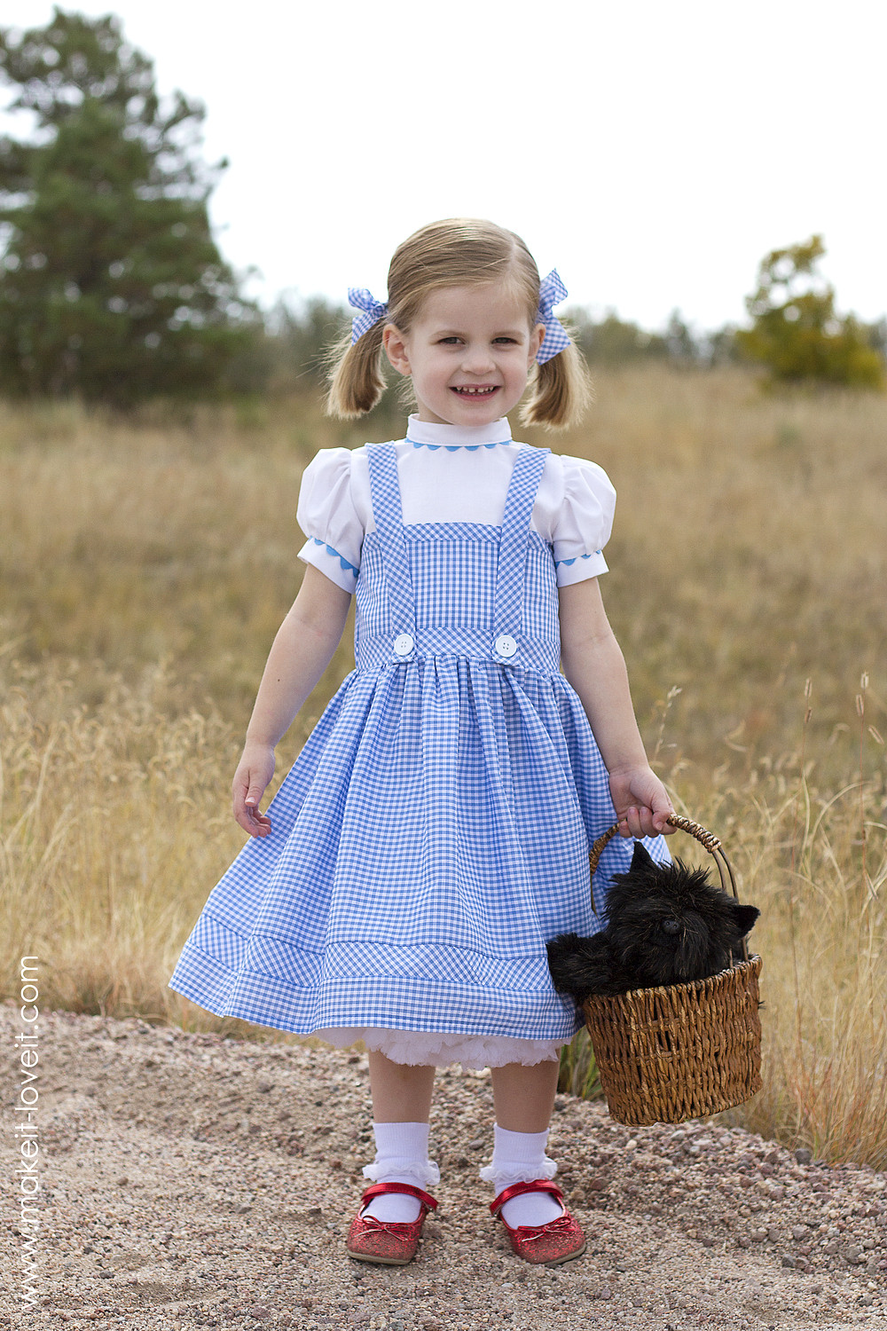 DIY Wizard Of Oz Costume
 A HOOP SKIRT a sturdy and inexpensive version