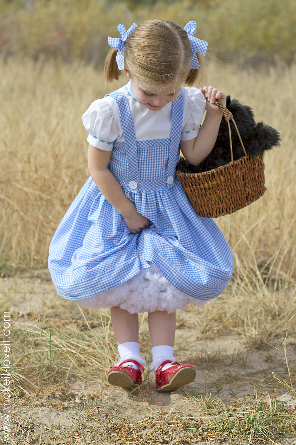 DIY Wizard Of Oz Costume
 Halloween 2014 Dorothy from "Wizard of Oz"