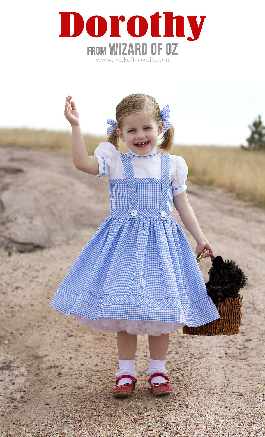 DIY Wizard Of Oz Costume
 Our Geeky Adventure October 2014