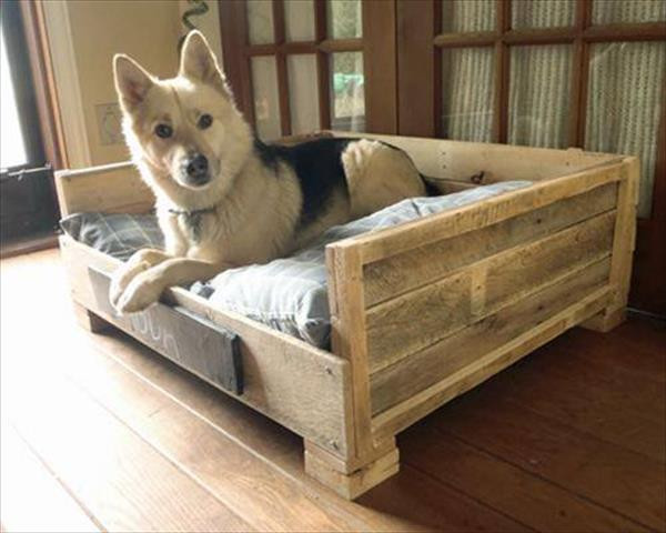 DIY Wood Dog Beds
 8 DIY Pallet Beds For Dogs