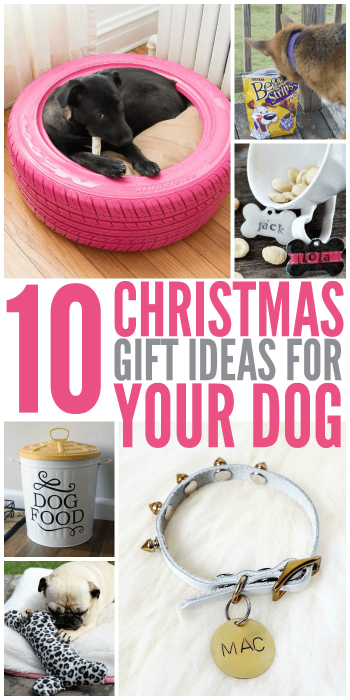 Dog Christmas Gift Ideas
 10 Christmas Gift Ideas for Your Dog Glue Sticks and