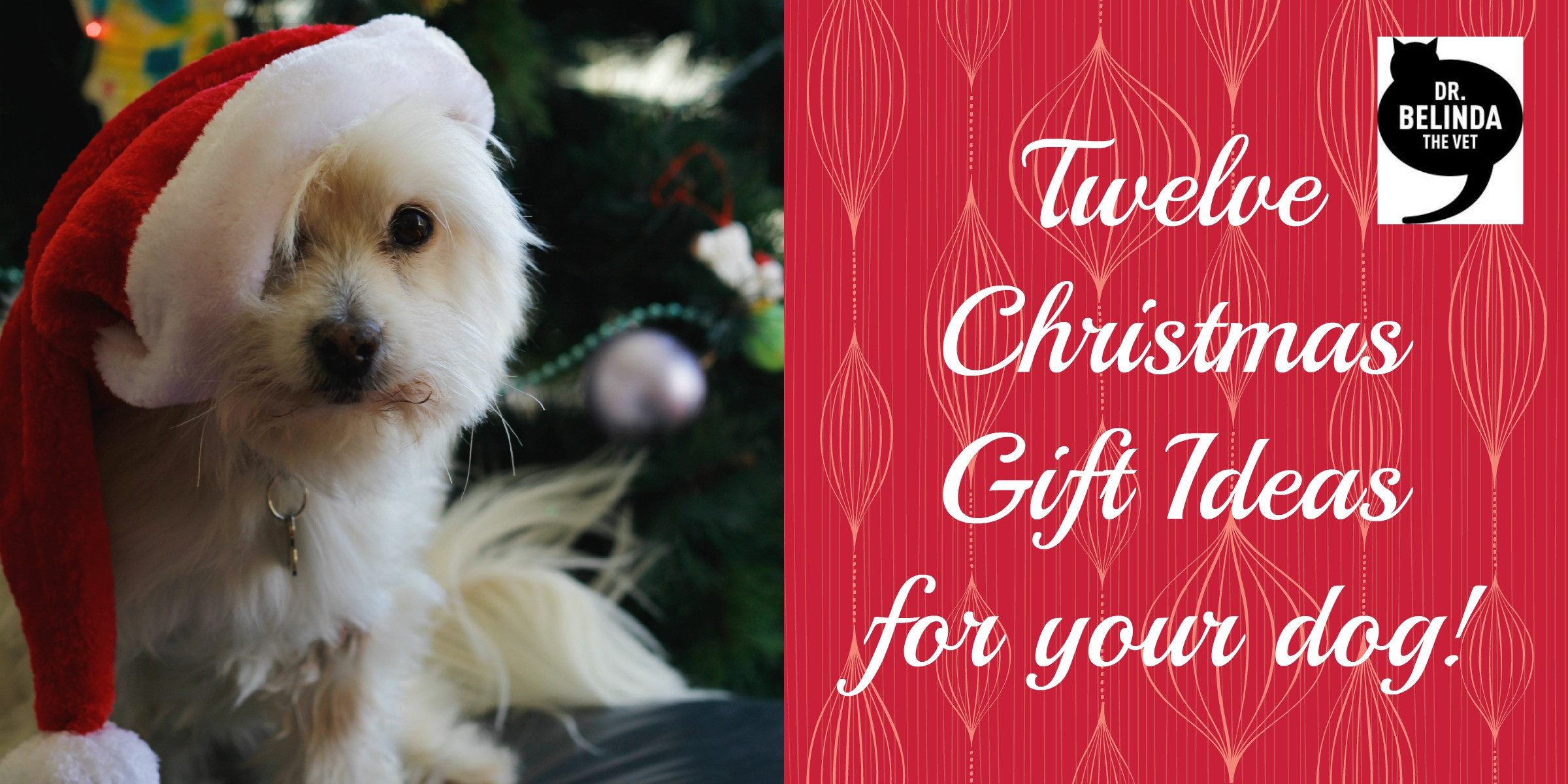 Dog Christmas Gift Ideas
 12 Christmas t ideas for your dog Dr Belinda The Vet