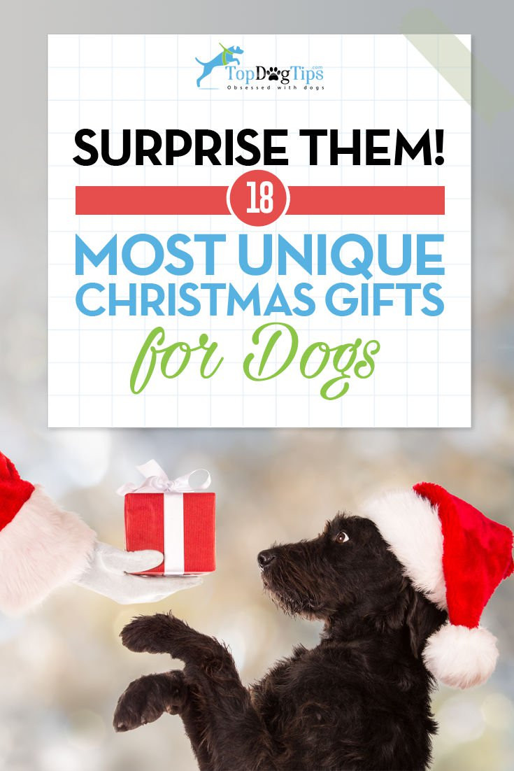 Dog Christmas Gift Ideas
 17 Best Christmas Gift Ideas for Dogs That ll Surprise You